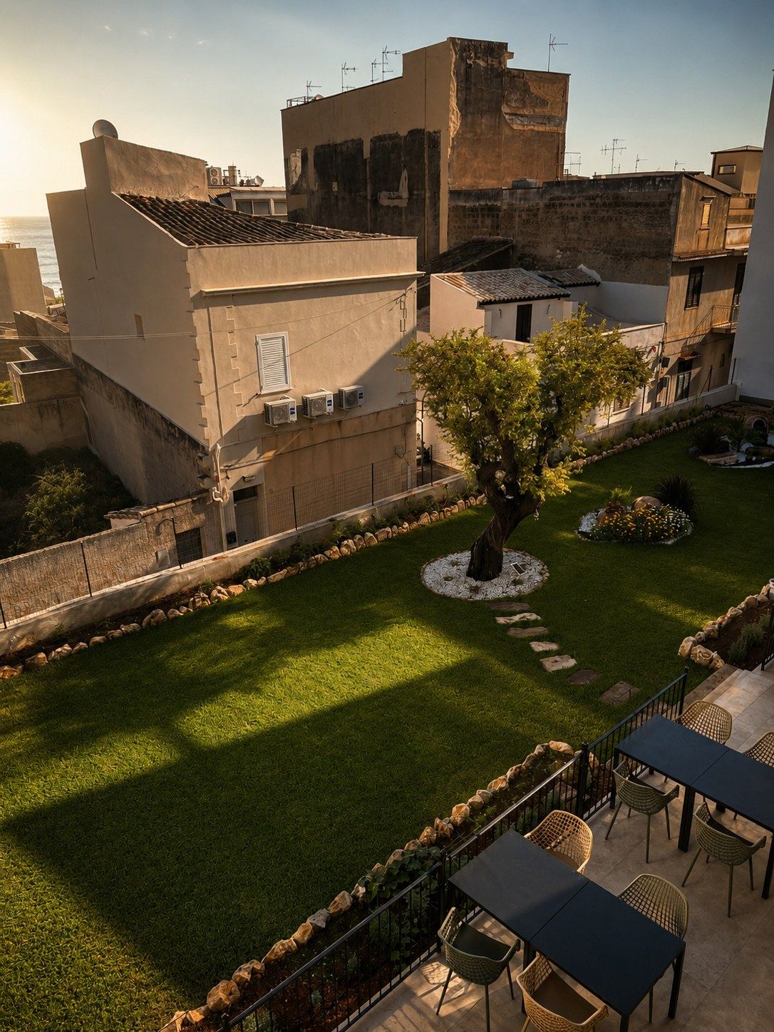 Vista aerea del giardino al tramonto, tra ulivo secolare e mare