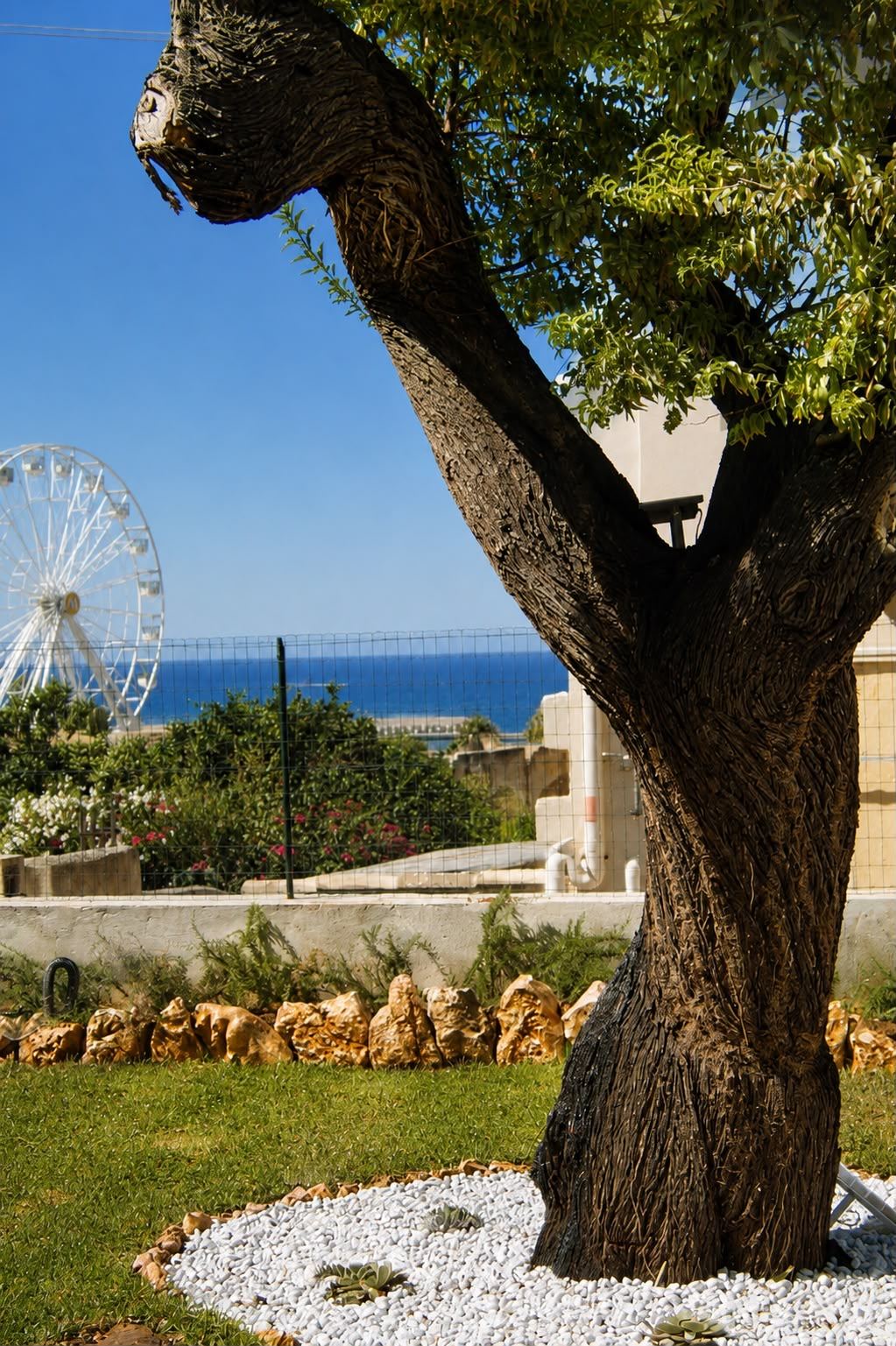 Albero del giardino con il mare sullo sfondo